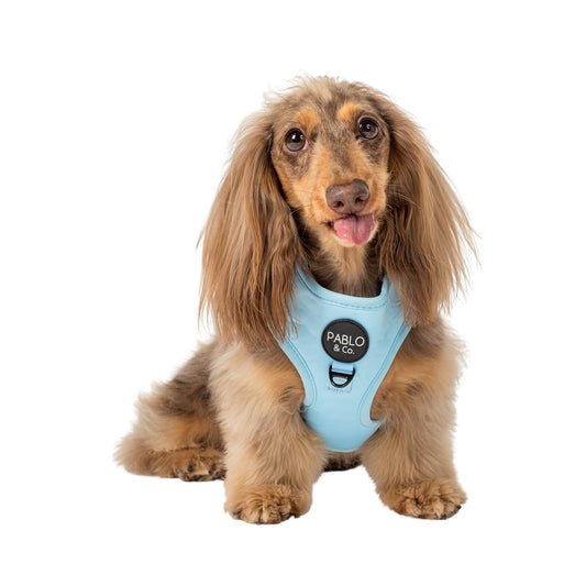 Baby Blue: Adjustable Harness