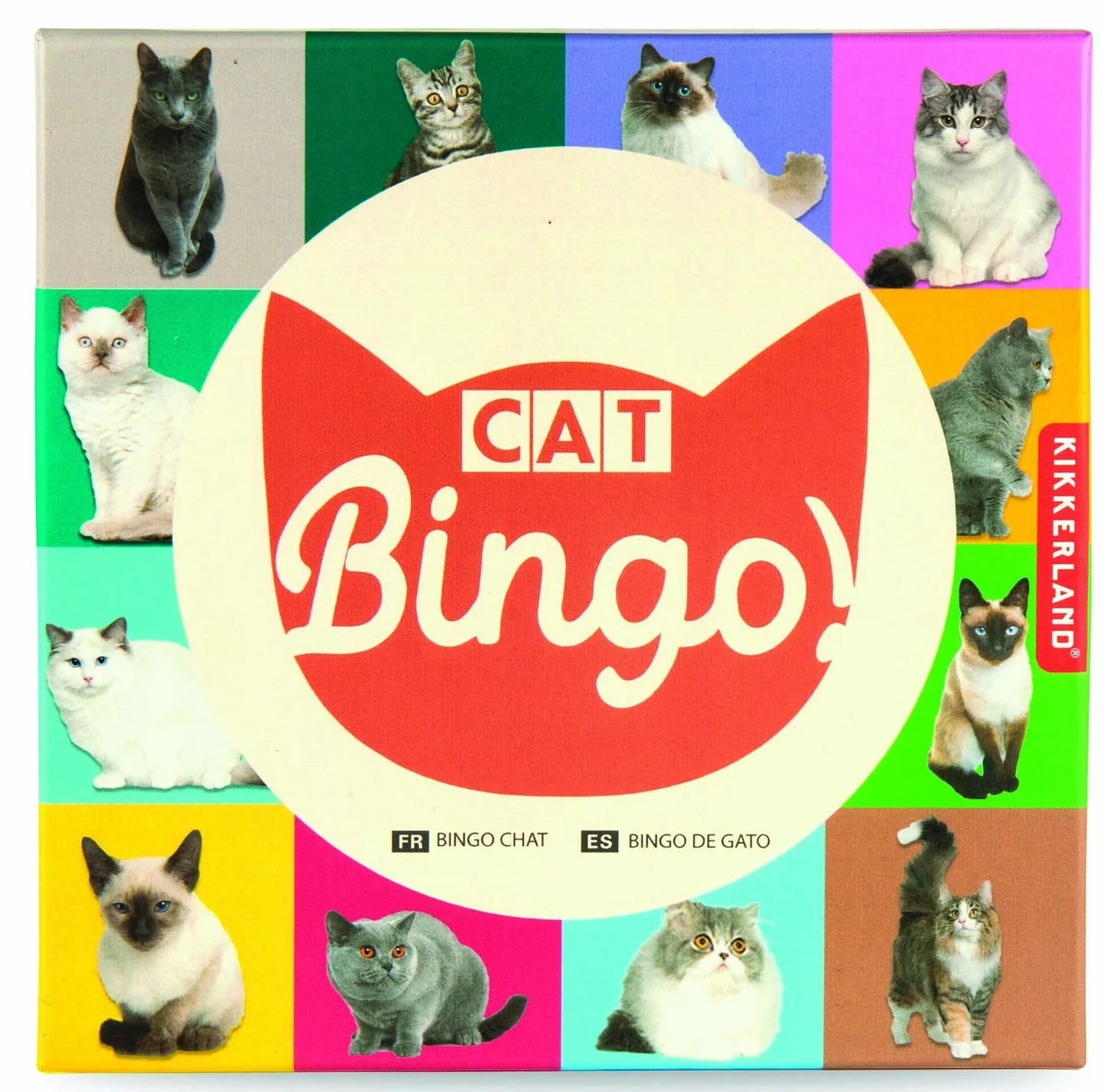 Cat Bingo