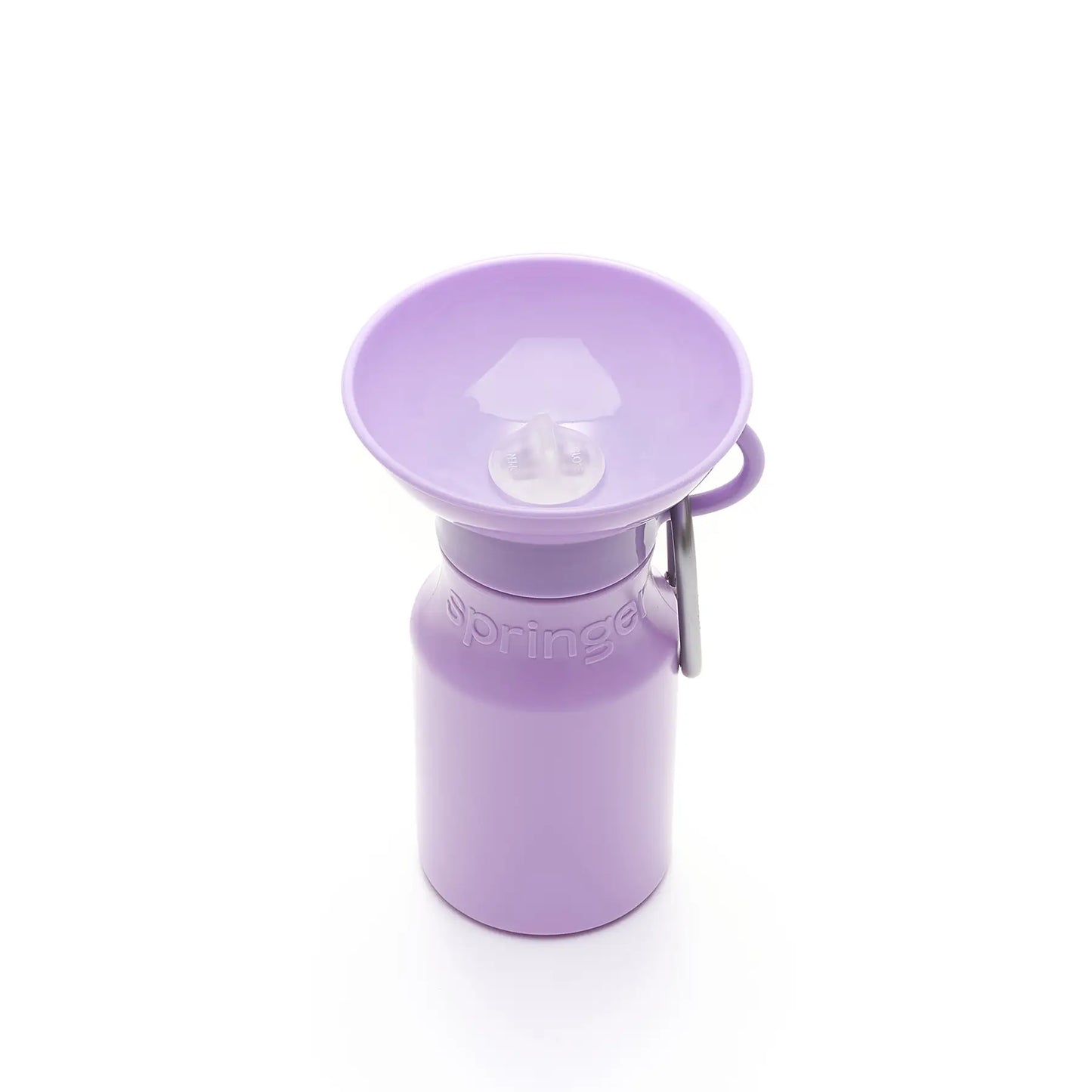 Mini Travel Water Bottle