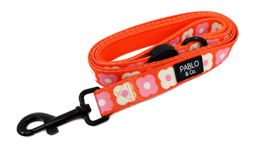 Pink Checkered Daisies: Dog Leash