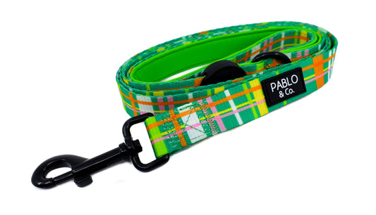 Groovy Grid: Dog Leash