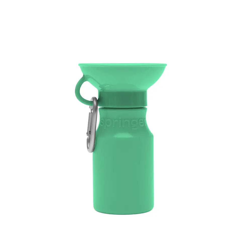 Mini Travel Water Bottle