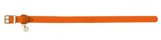 Orange Crush: Waterproof Collar FINAL SALE. NO RETURNS.