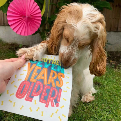 Edible Card For Dogs