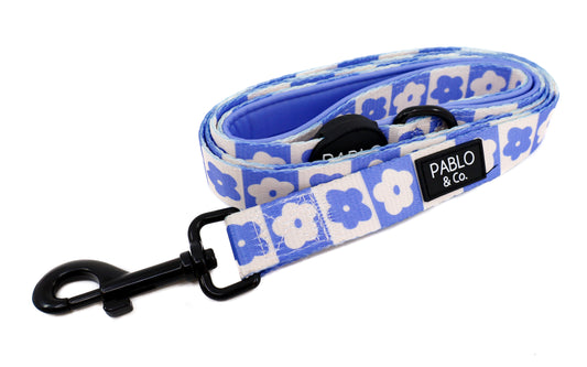 Blue Checkered Daisies: Dog Leash