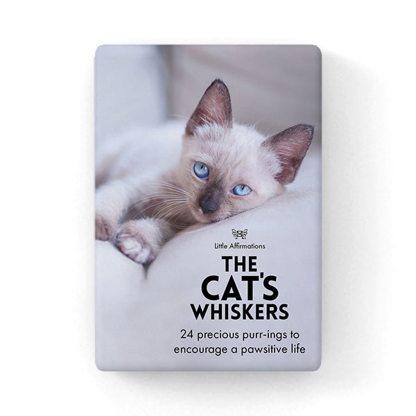 The Cat’s Whiskers: Pawsitive Life