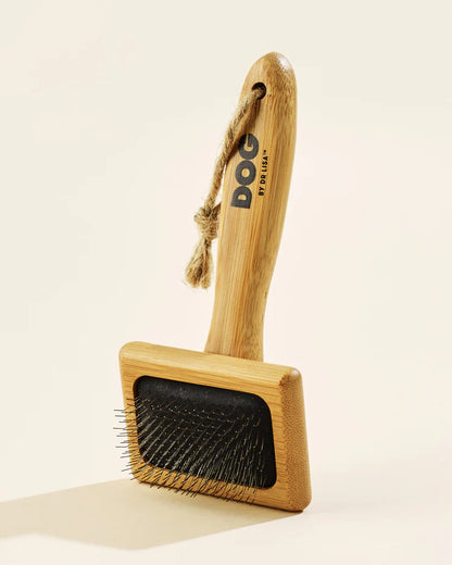 DOG By Dr Lisa Slicker Brush