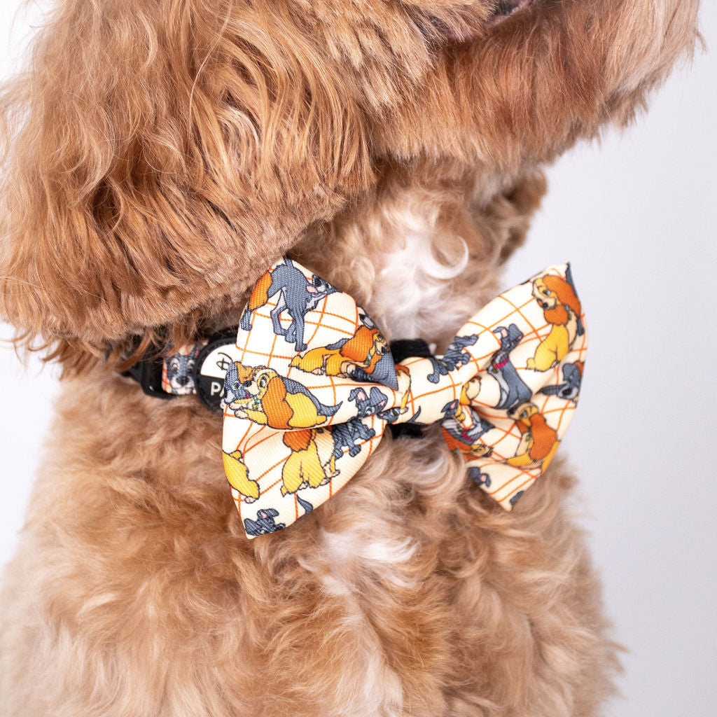 Lady and the Tramp: Bow Tie