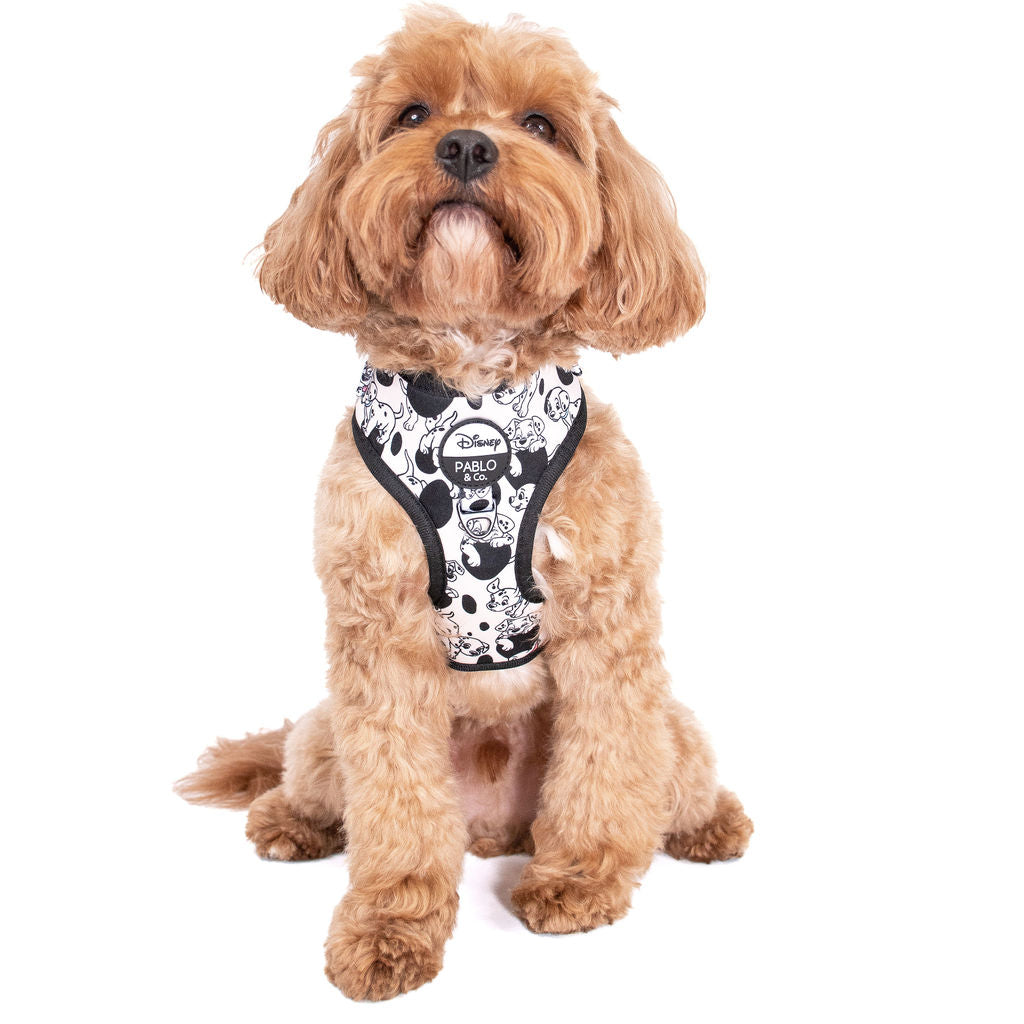 101 Dalmatians: Adjustable Harness