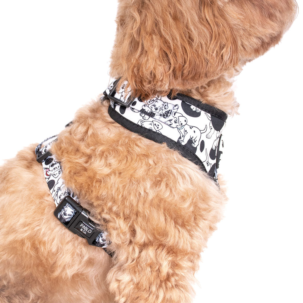 101 Dalmatians: Adjustable Harness