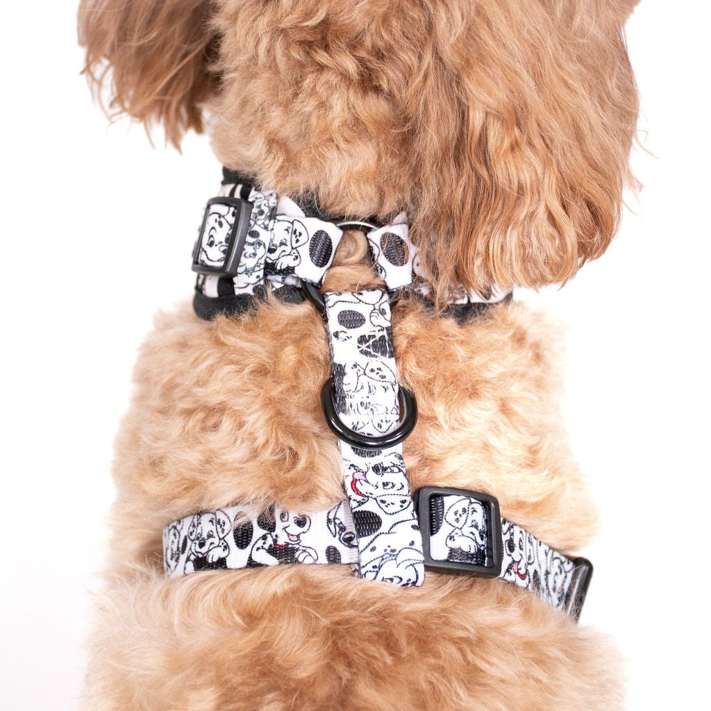 101 Dalmatians: Adjustable Harness