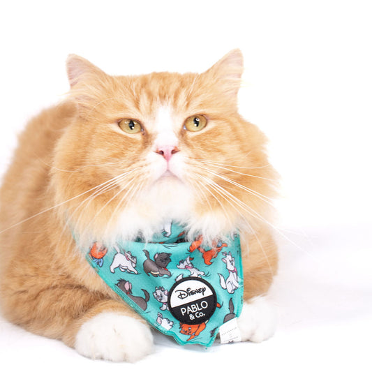 The Aristocats: Cat Bandana