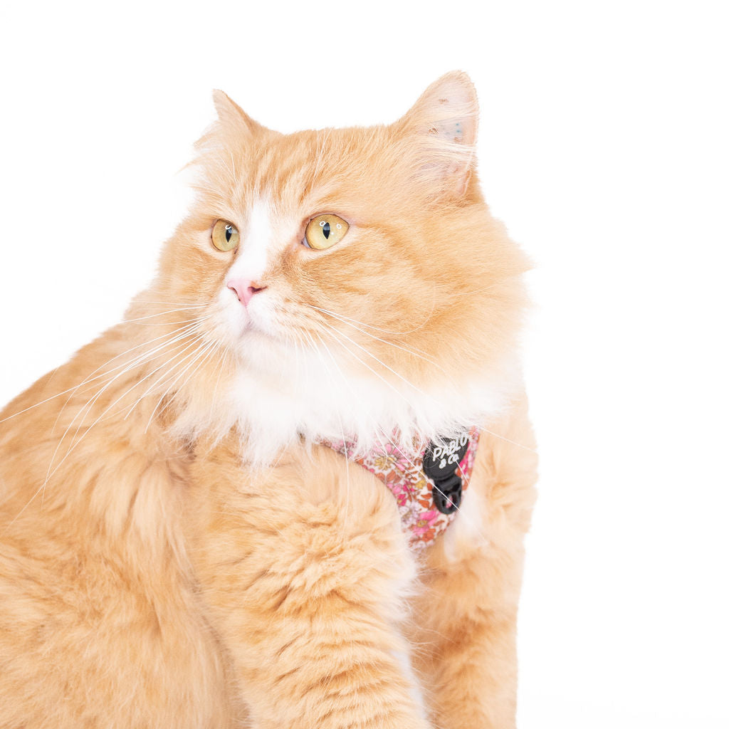 Pink Posies: Step In Cat Harness