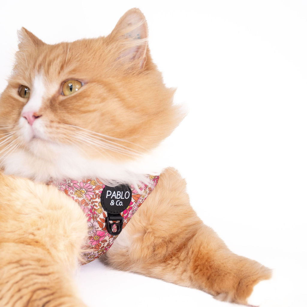 Pink Posies: Step In Cat Harness