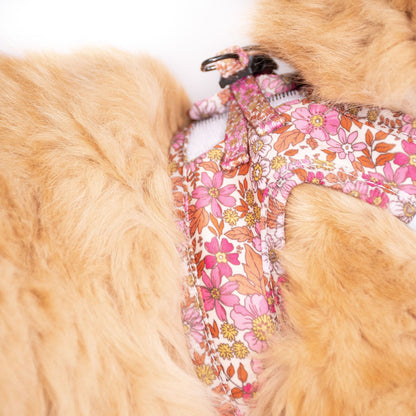 Pink Posies: Step In Cat Harness