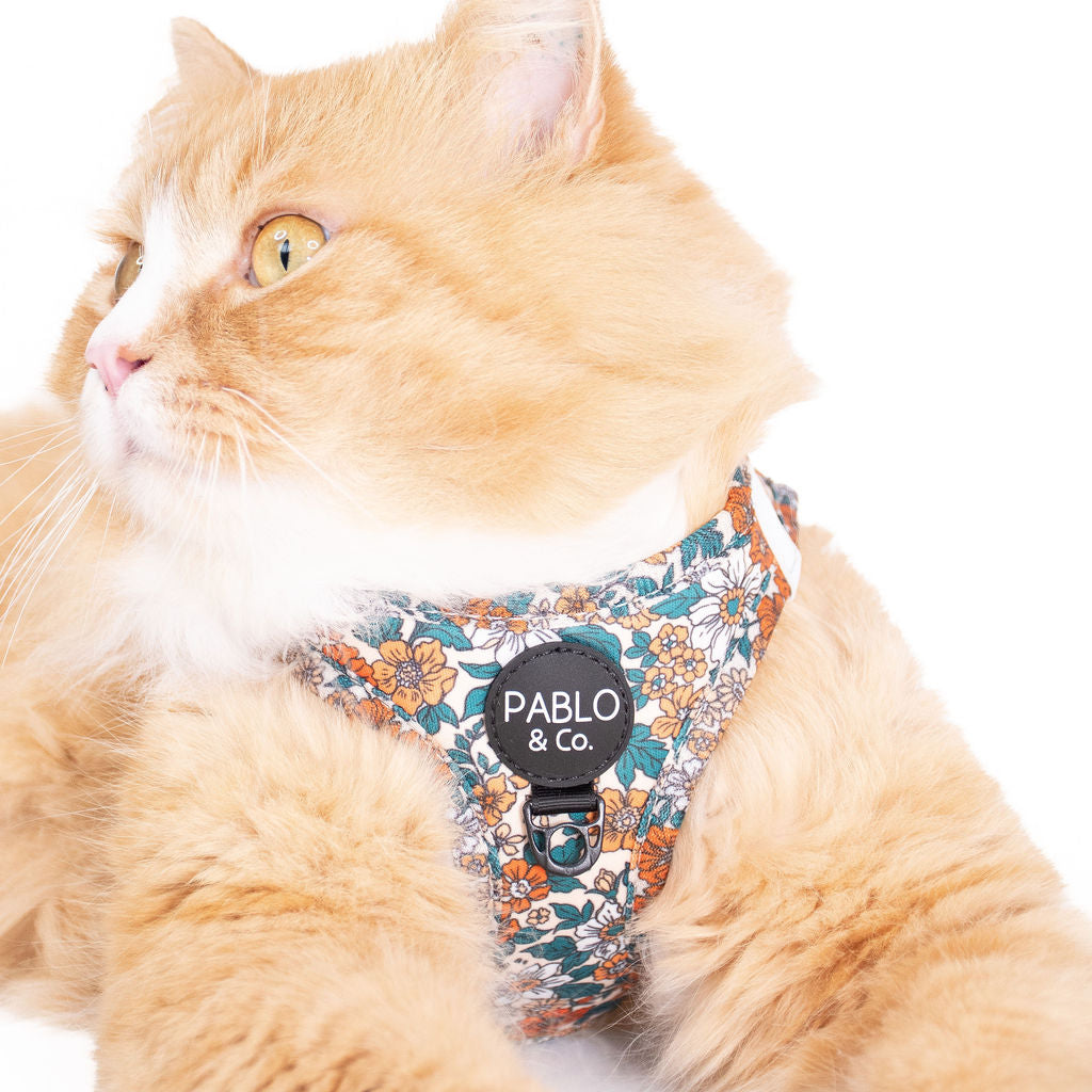 Wildflowers: Step In Cat Harness