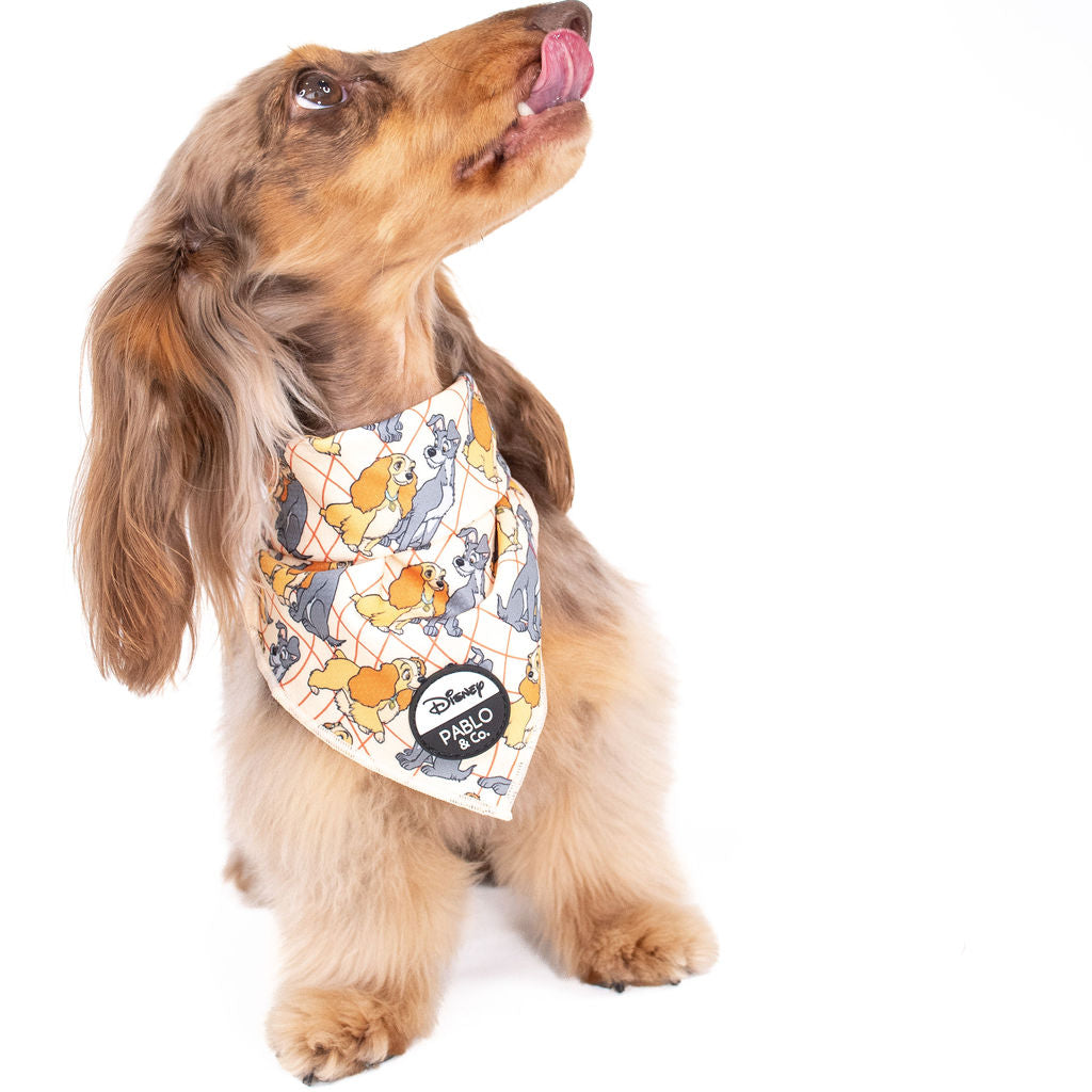 Lady and the Tramp: Dog Bandana