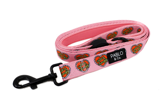 Cute & Clingy Hearts: Dog Leash