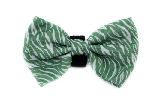 Green Zebra: Bow Tie