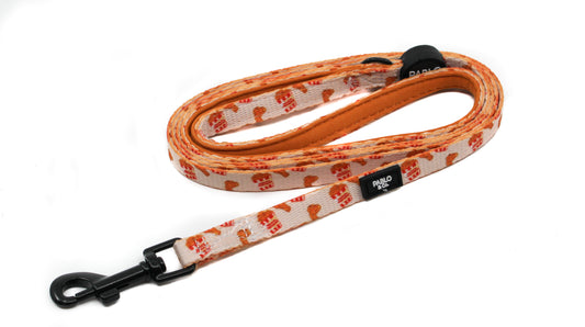 Hot N' Spicy: Cat Leash