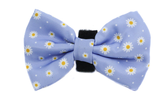 Blue Daisy: Bow Tie