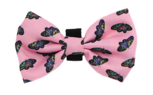 Butterflies: Bow Tie