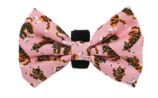 Pink Tigers: Bow Tie