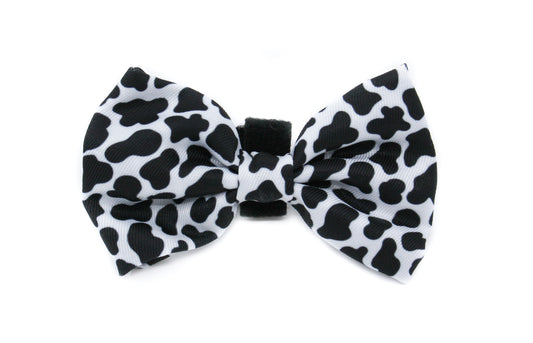 Moo Moo: Bow Tie