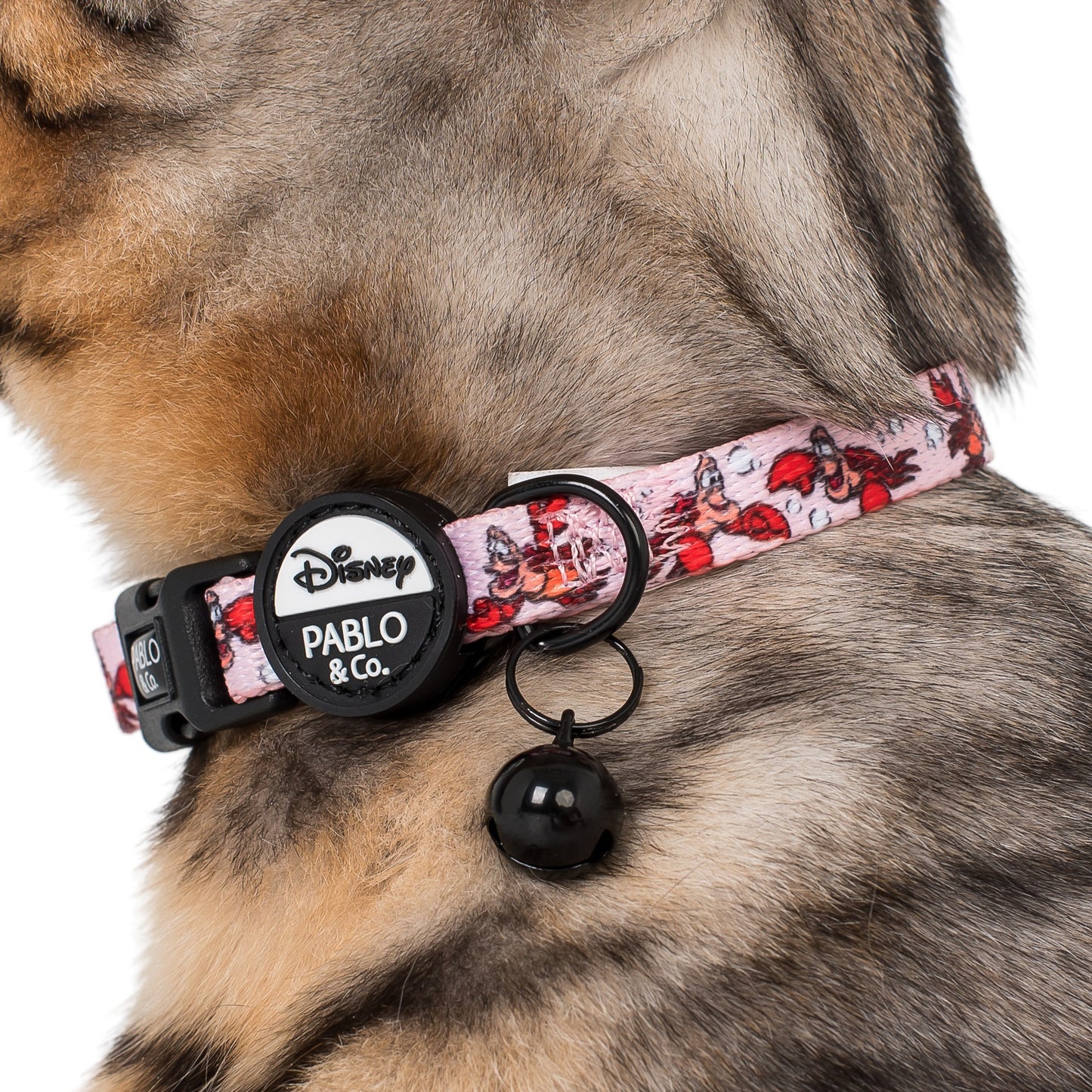 The Little Mermaid - Sebastian: Cat Collar