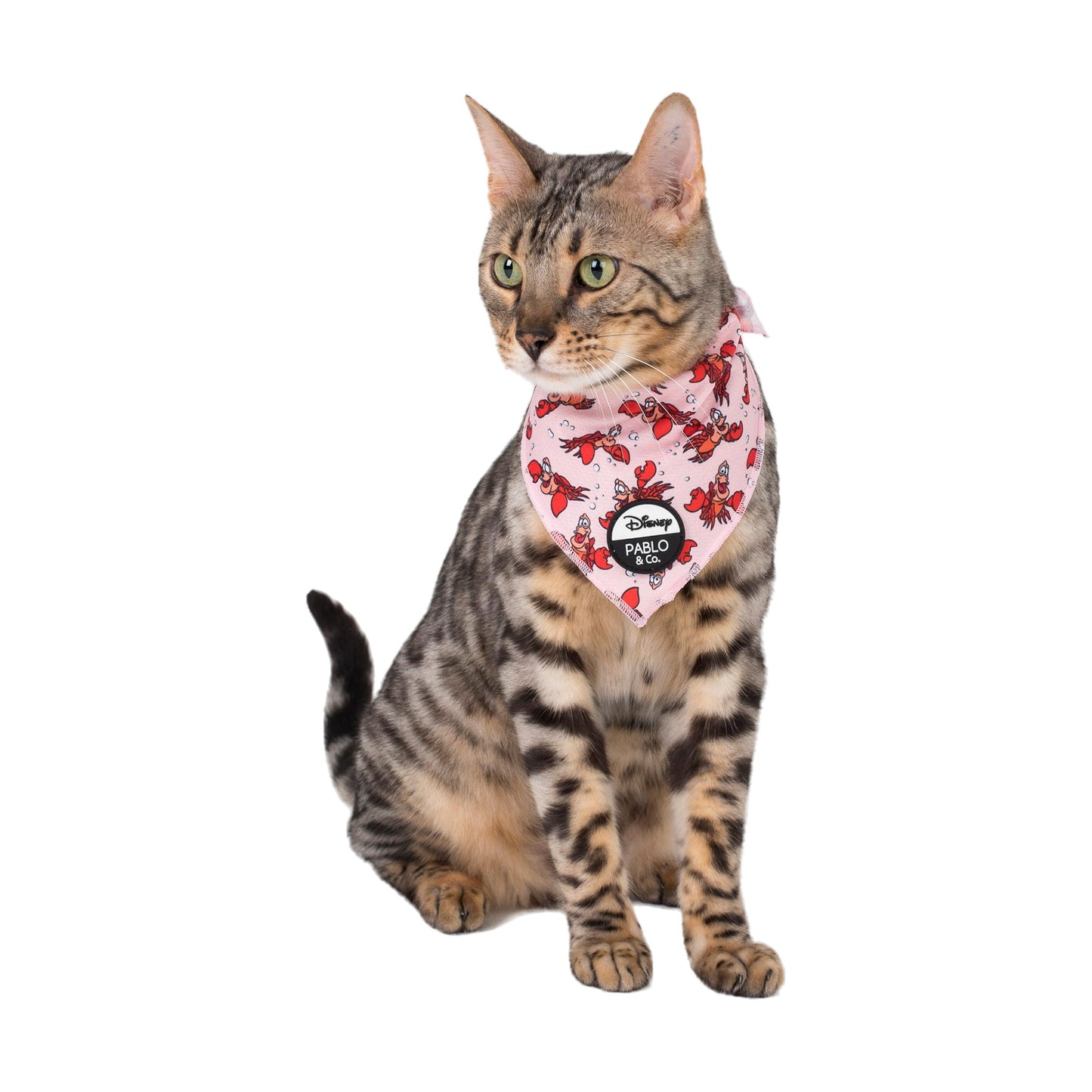 The Little Mermaid - Sebastian: Cat Bandana