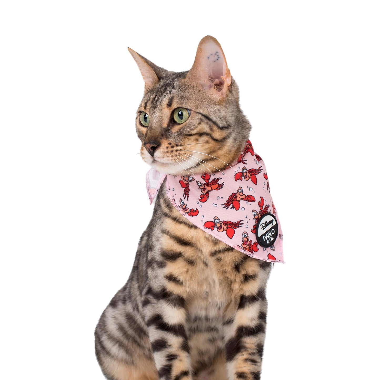 The Little Mermaid - Sebastian: Cat Bandana