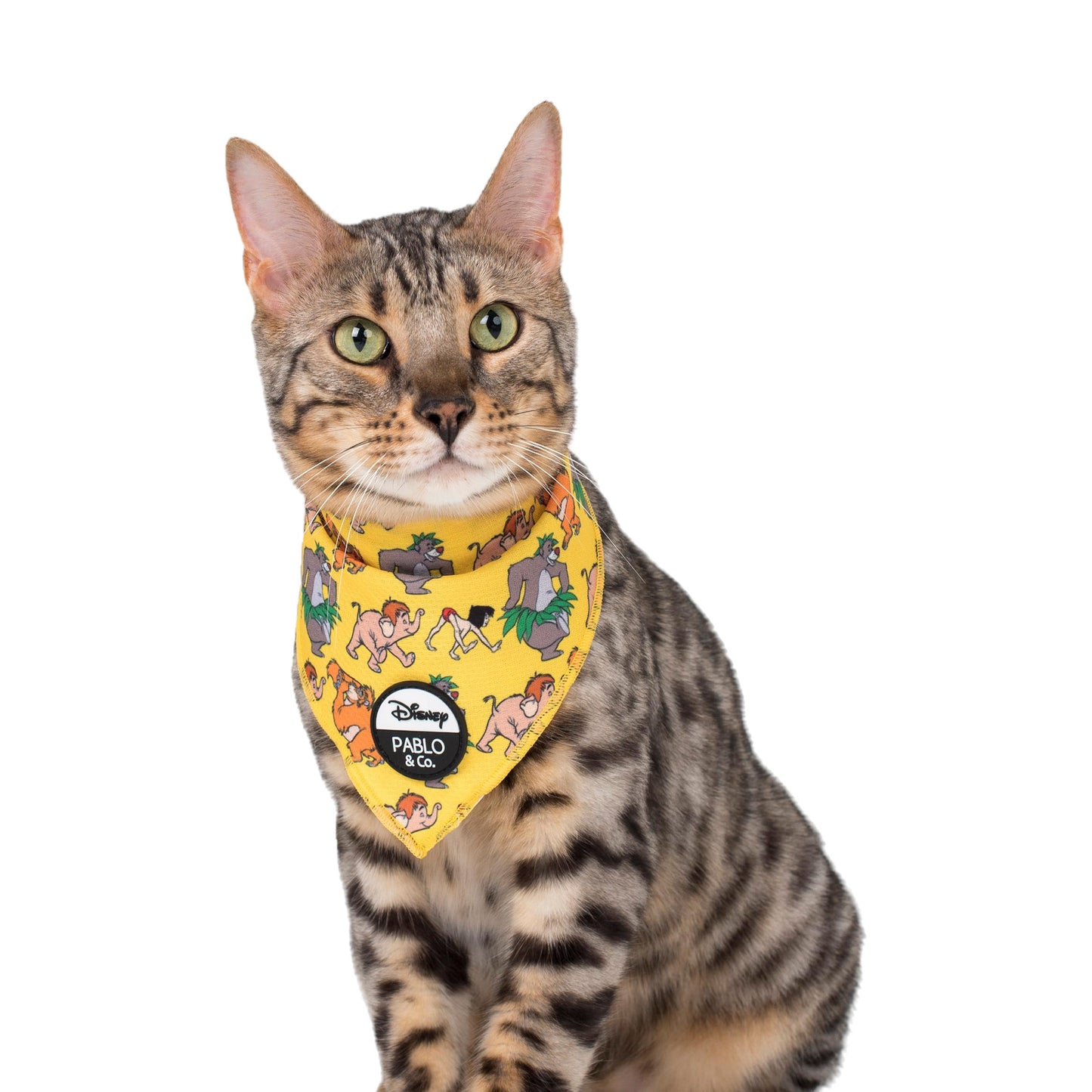 The Jungle Book Vol. 2: Cat Bandana