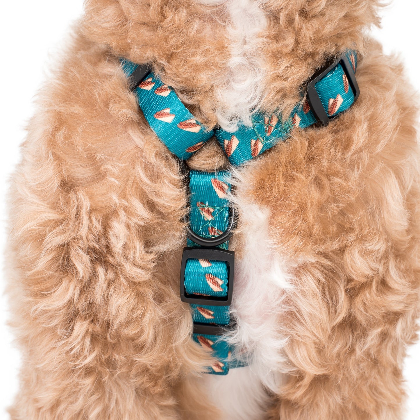 Dog Strap Harness: Sausage Sizzle