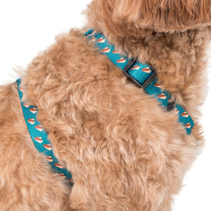 Dog Strap Harness: Sausage Sizzle