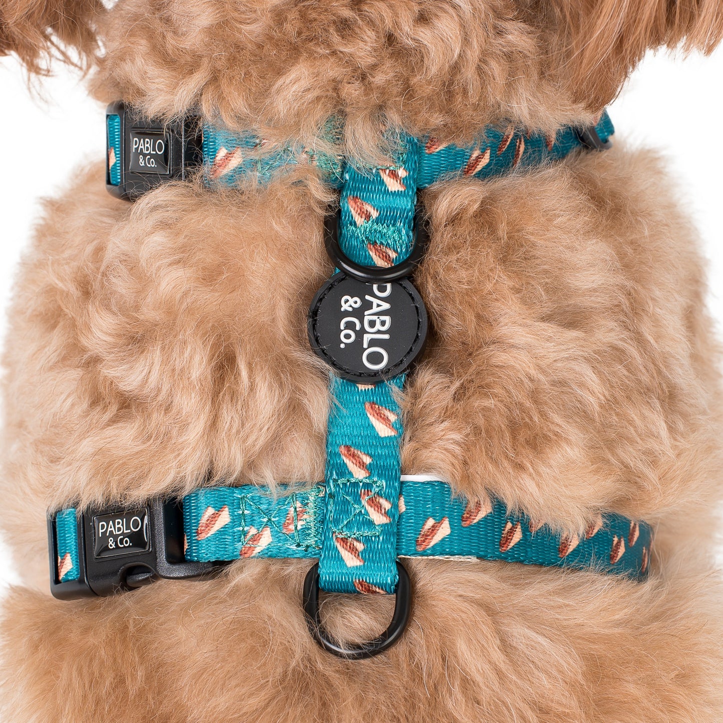 Dog Strap Harness: Sausage Sizzle