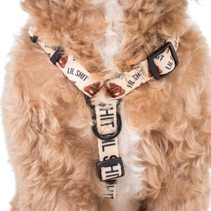 Dog Strap Harness: Lil Shit 2.0 FINAL SALE. NO RETURNS.