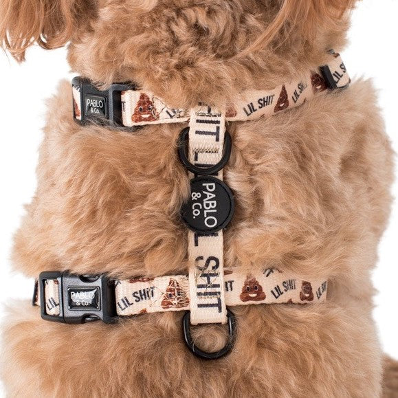 Dog Strap Harness: Lil Shit 2.0 FINAL SALE. NO RETURNS.