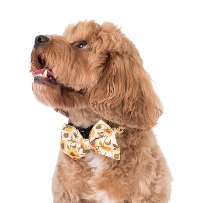 Sunflowers: Bow Tie