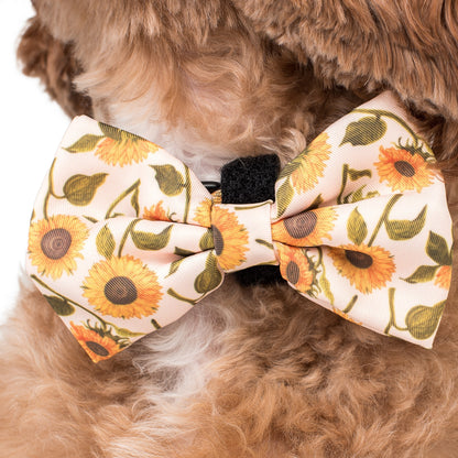 Sunflowers: Bow Tie