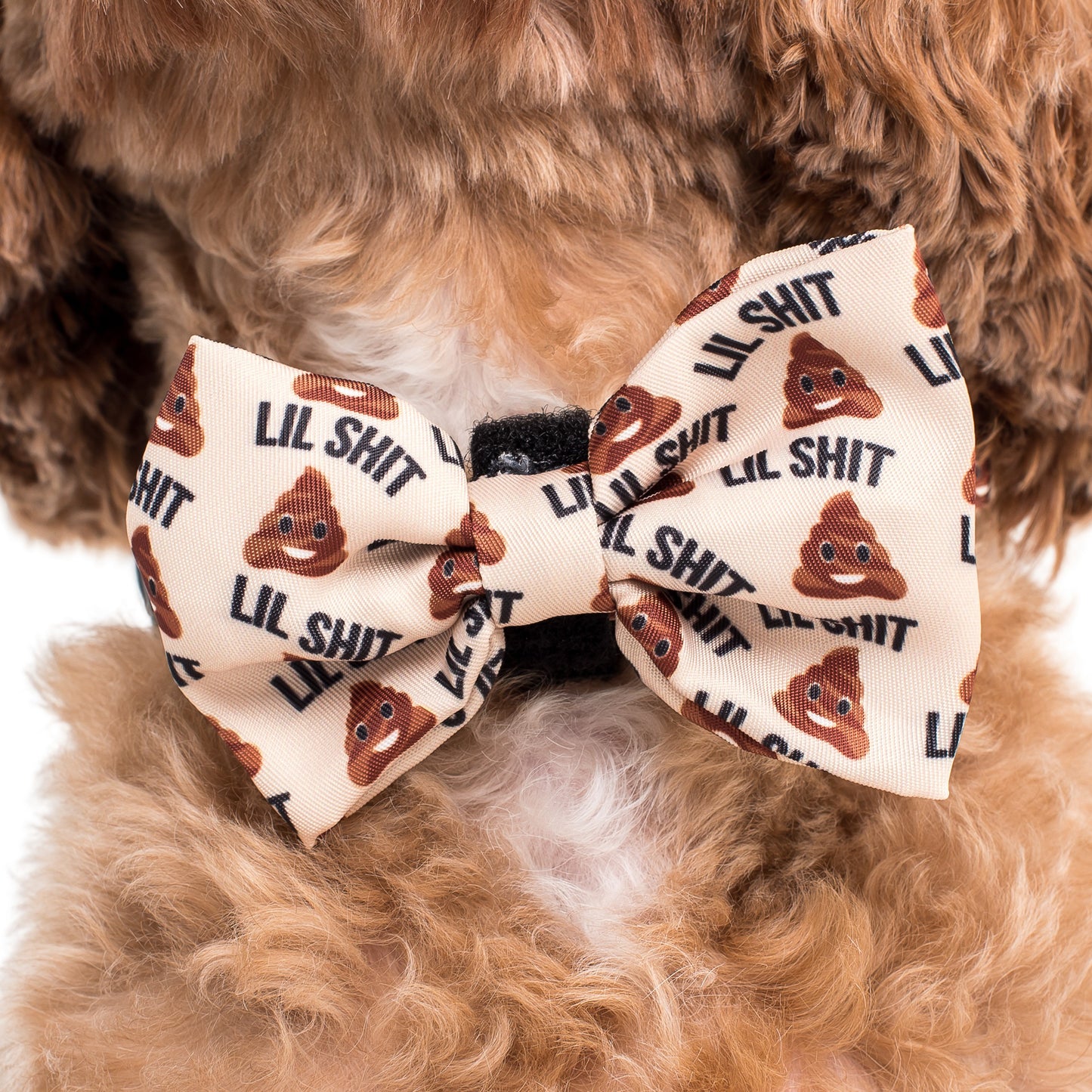 Lil Shit 2.0: Bow Tie