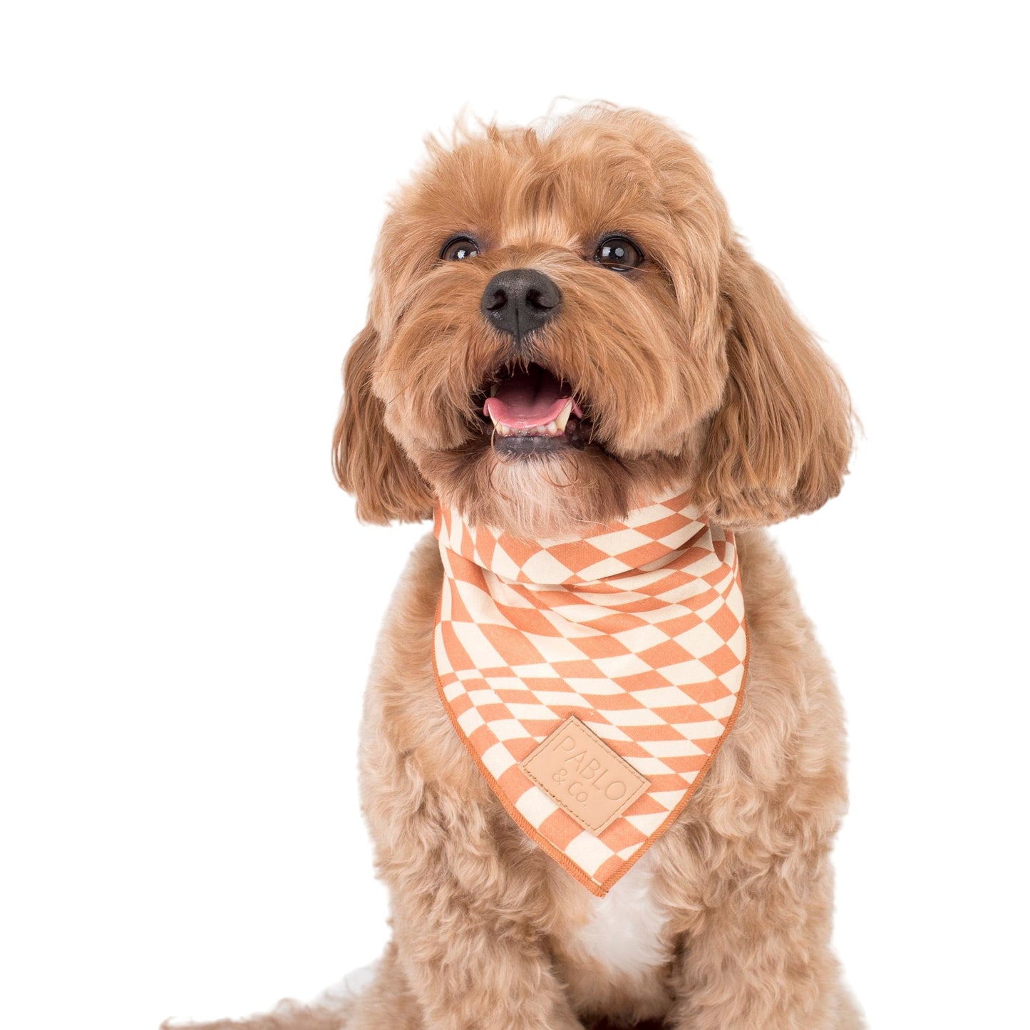 Brown Check Check - Bandana