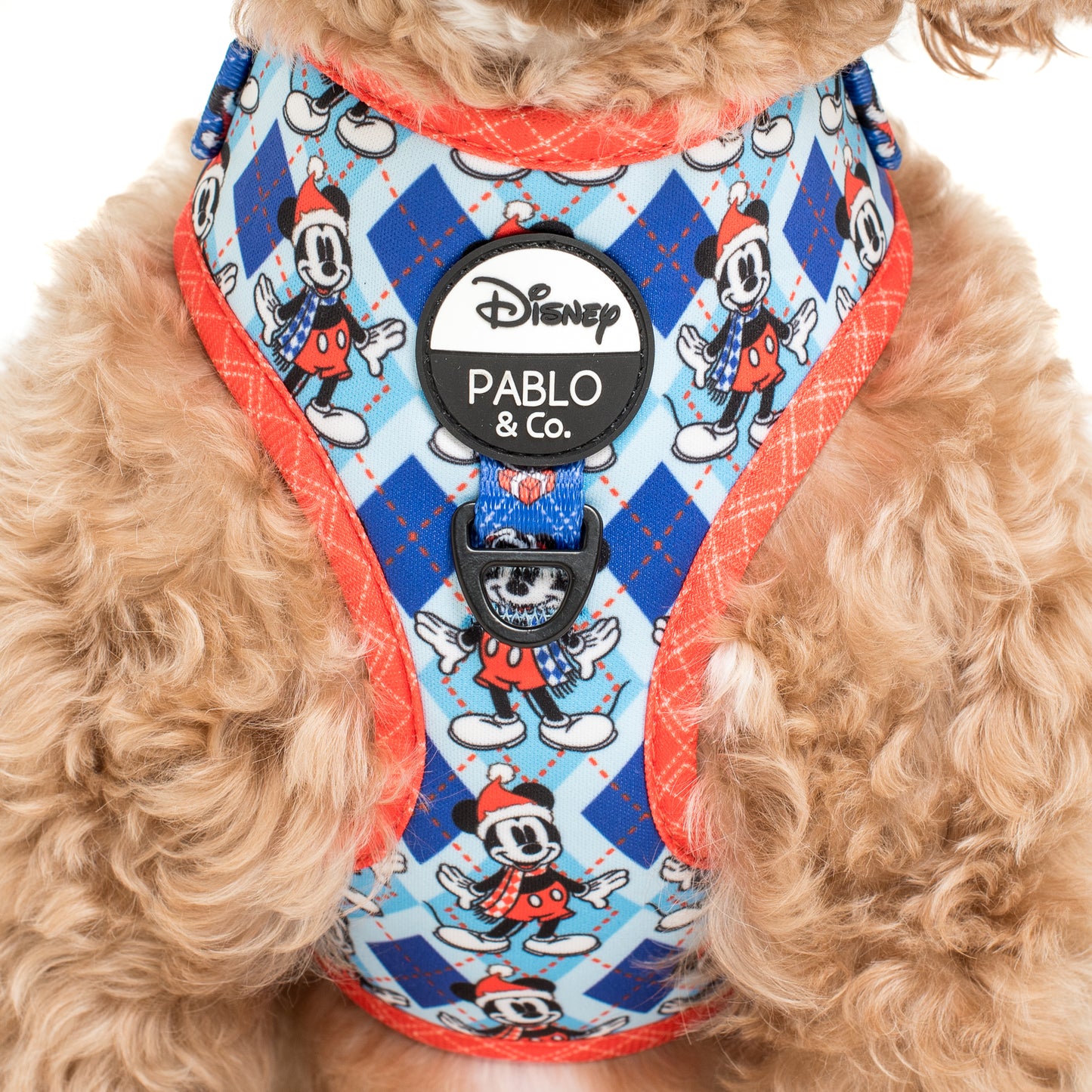 Mickey's Magical Christmas: Adjustable Harness FINAL SALE. NO RETURNS