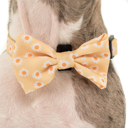 Yellow Daisy: Bow Tie