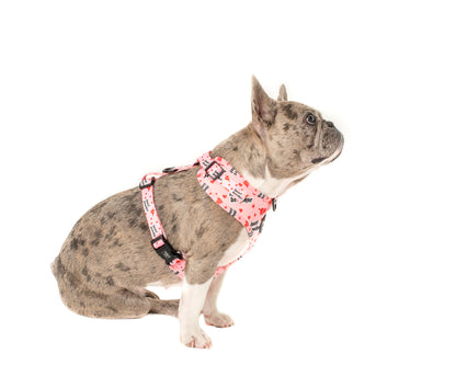 Pink Heartbreaker: Adjustable Harness