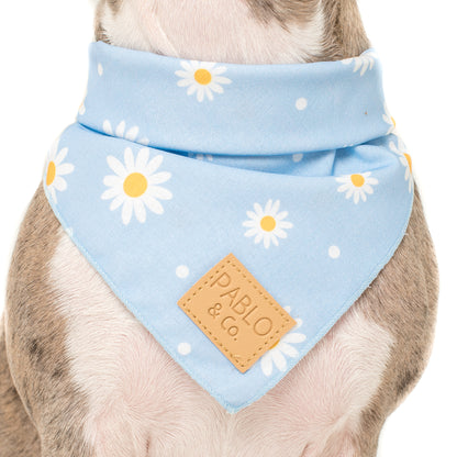 Blue Daisy - Bandana