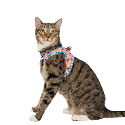 Surfin' Stitch: Step In Cat Harness