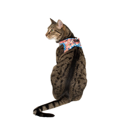 Surfin' Stitch: Step In Cat Harness