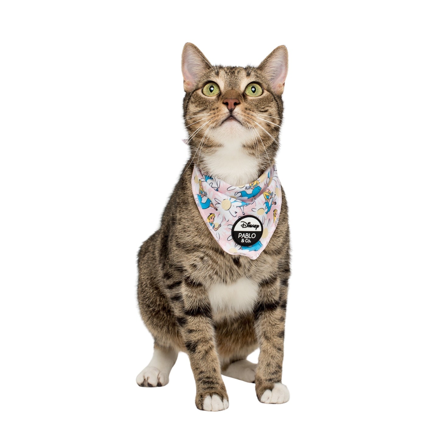 Alice in Wonderland: Cat Bandana