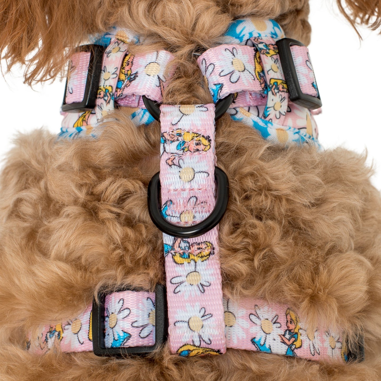 Alice in Wonderland: Adjustable Harness