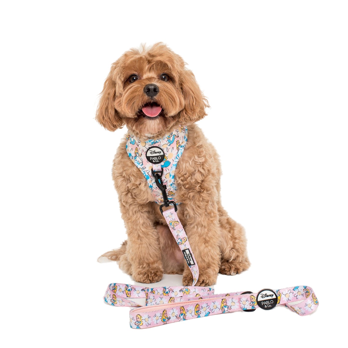 Alice in Wonderland: Dog Leash